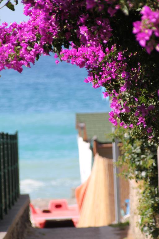 Hotel Maronti Barano d'Ischia Ngoại thất bức ảnh